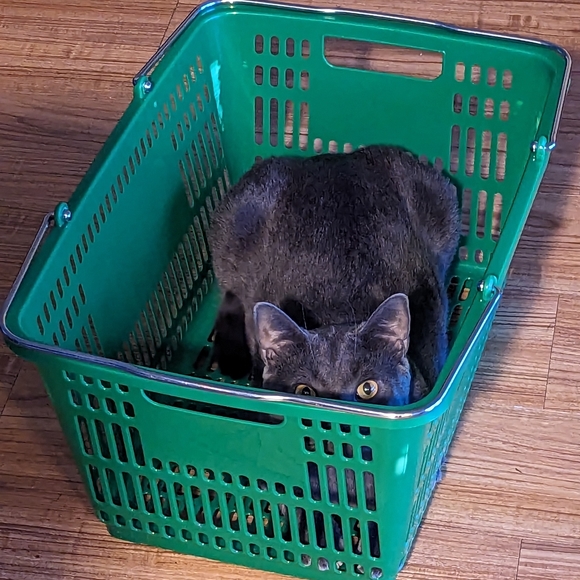 Meet your Posher, - Picture 1 of 1